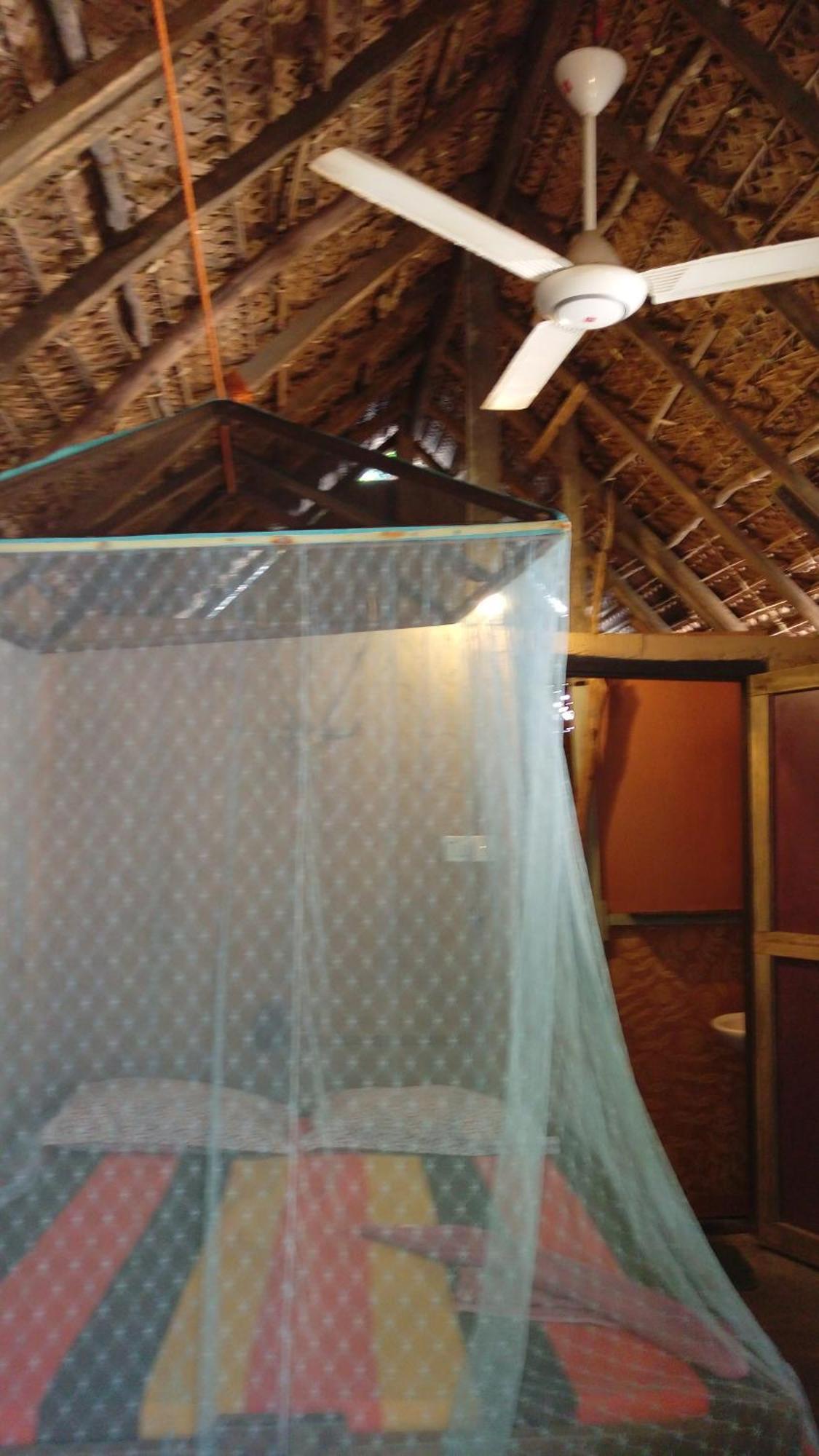 Beach Hut Arugam Bay Pokój zdjęcie